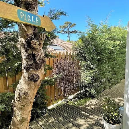 Maison Arcachon, 5 Pieces, 8 Personnes - Fr-1-420-100 Holiday home *